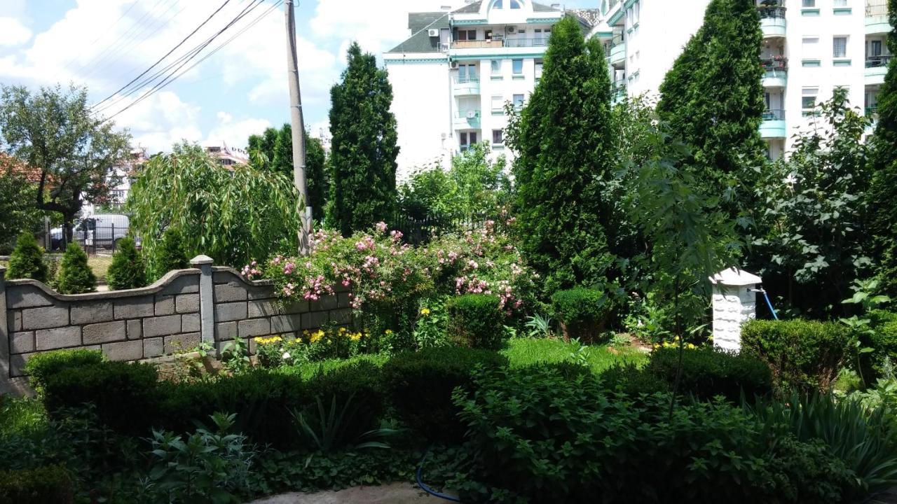 M4U Apartments Ni Екстериор снимка